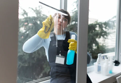 Nettoyage de vitres intérieures et extérieures à Val d'Arry